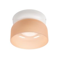 10466 Amber matte Потолочный светильник LOFT IT Totem - Loft It