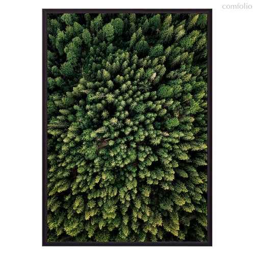 Зеленый лес с высоты, 50x70 см - Dom Korleone