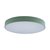 10002/24 Green Потолочный светильник LOFT IT Axel - Loft It