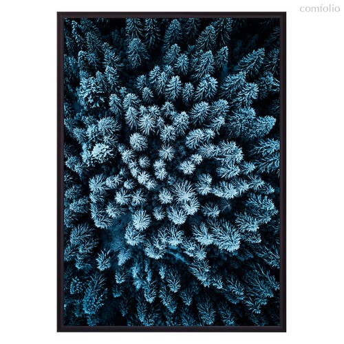 Голубой лес с высоты, 40x60 см - Dom Korleone