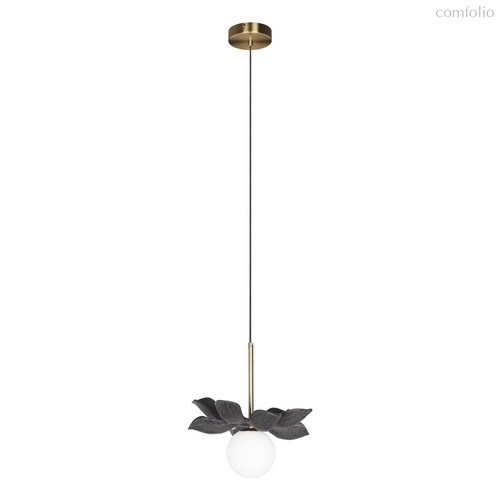 10213/B Black Подвесной светильник LOFT IT Monro - Loft It