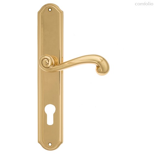 Дверная ручка Venezia Carnevale CYL на планке PL02 полированная латунь - Venezia Collezione