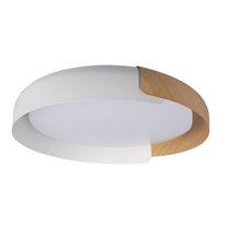 10198 White Потолочный светильник LOFT IT Coin - Loft It