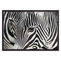 Зебры, 50x70 см - Dom Korleone