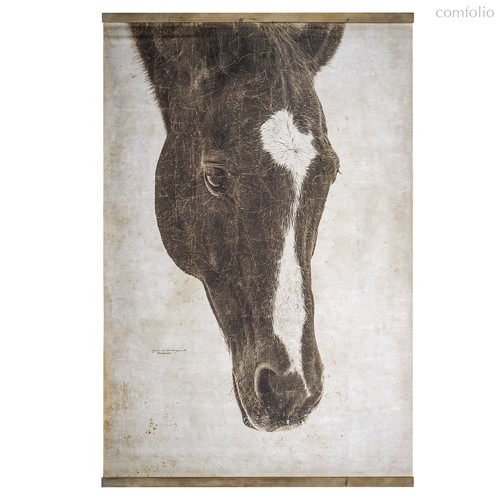 Постер Френкель - Covali