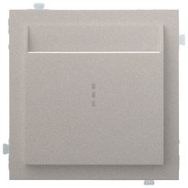 Лицевая панель для карточного выключателя 35731 PL, платина - Rikett