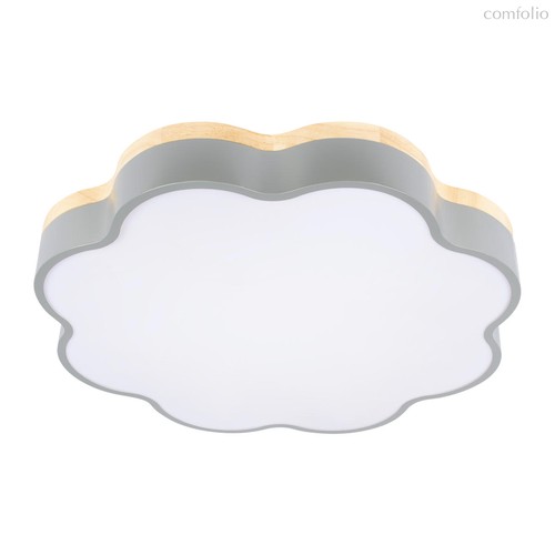 10225/36 Grey Потолочный светильник LOFT IT Axel - Loft It