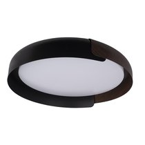 10198 Black Потолочный светильник LOFT IT Coin - Loft It