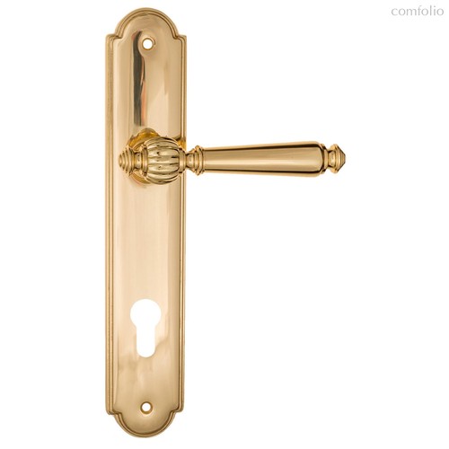 Дверная ручка на планке Fratelli Cattini MARANI CYL PL257-OLV полированная латунь - Fratelli Cattini