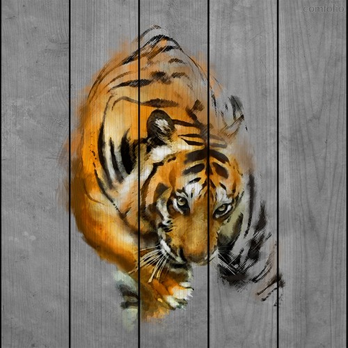 Крадущийся тигр 60х60 см, 60x60 см - Dom Korleone