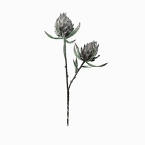 Декор Protea, цвет серый - Cosmo