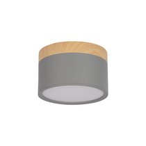10162 Grey Накладной светильник LOFT IT Grape - Loft It