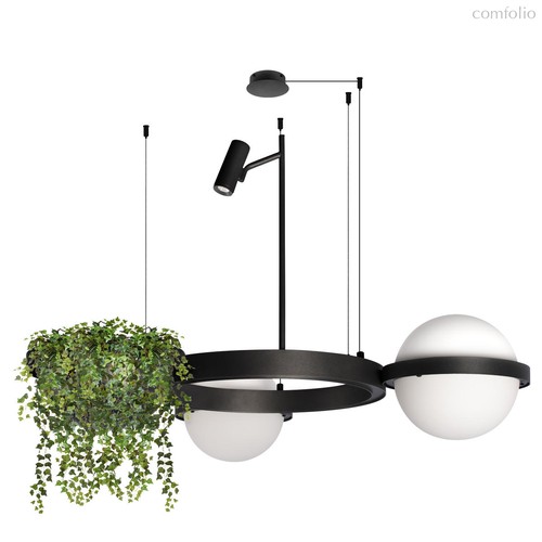 10121/2 Подвесной светильник LOFT IT Jardin - Loft It