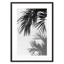 Пальма с тенью, 21x30 см - Dom Korleone