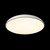 10371 White Потолочный светильник LOFT IT Dime - Loft It