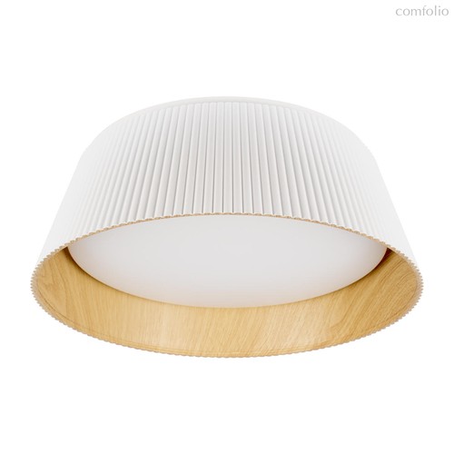 10224 White Потолочный светильник LOFT IT Evans - Loft It