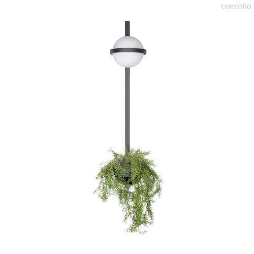 10121W/B Настенный светильник LOFT IT Jardin - Loft It
