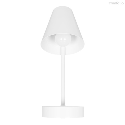 10216/1W White Настенный светильник LOFT IT Shelf - Loft It