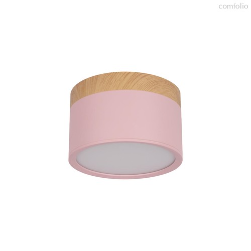 10162 Pink Накладной светильник LOFT IT Grape - Loft It