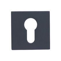 Накладка на ключевой цилиндр SILLUR CL-L PLATINUM GRAY (Платиново-серый, антибактериальное покрытие) - Archie