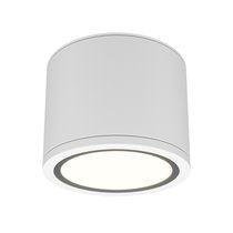 Потолочный светильник Рэндо / Rendo 1*GX53 12 Вт IP 44 - Maytoni