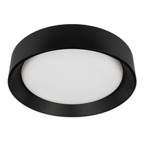 10202 BB Потолочный светильник LOFT IT Coin - Loft It