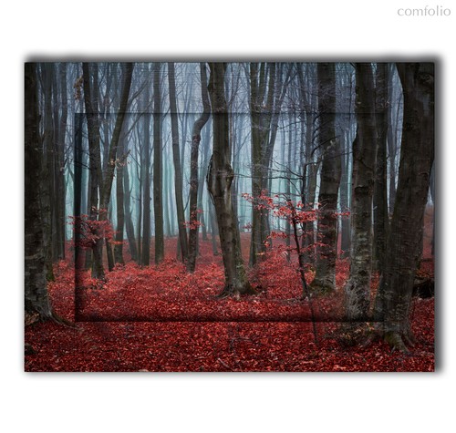 Сказочный лес 60х80 см, 60x80 см - Dom Korleone