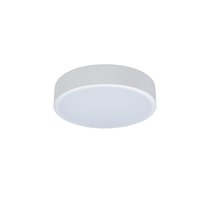 10002/12 White Потолочный светильник LOFT IT Axel - Loft It
