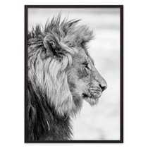 Лев в профиль, 40x60 см - Dom Korleone