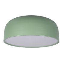 10201/480 Green Потолочный светильник LOFT IT Axel - Loft It