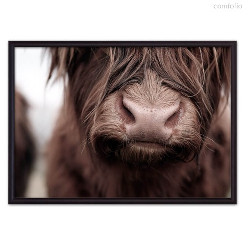 Корова Close up, 30x40 см - Dom Korleone