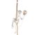 10314P Подвесной светильник LOFT IT Monkey - Loft It
