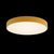 10002/24 Yellow Потолочный светильник LOFT IT Axel - Loft It