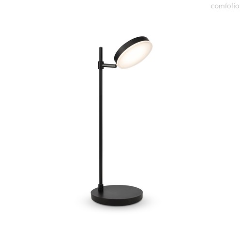 Настольный светильник Maytoni MOD070TL-L8B3K - Maytoni
