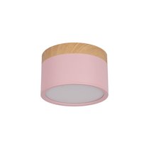 10162 Pink Накладной светильник LOFT IT Grape - Loft It