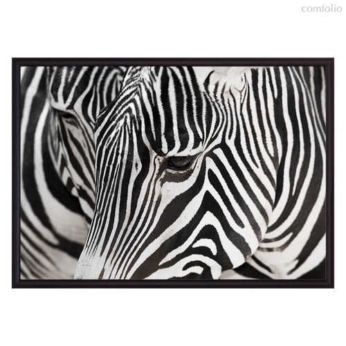 Зебры, 21x30 см - Dom Korleone