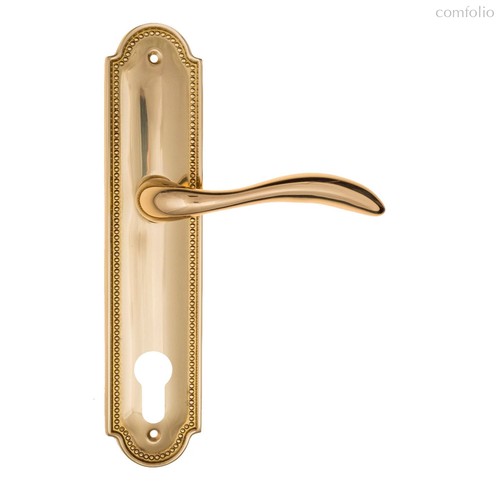 Дверная ручка на планке Fratelli Cattini LUCCIA CYL PL248-OLV полированная латунь - Fratelli Cattini