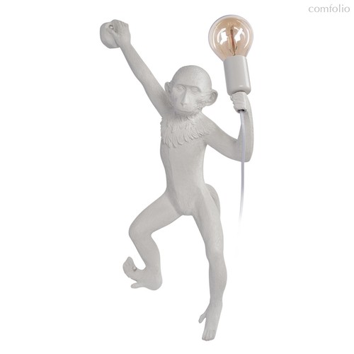 10314W/B Настенный светильник LOFT IT Monkey - Loft It