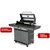 Газовый гриль 6+1 горелка, цвет черный - Start Grill