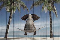 Слон на отдыхе 30х40 см, 30x40 см - Dom Korleone