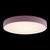 10002/24 Pink Потолочный светильник LOFT IT Axel - Loft It