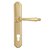 Дверная ручка Venezia Pellestrina CYL на планке PL02 полированная латунь - Venezia Collezione