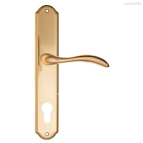 Дверная ручка на планке Fratelli Cattini LUCCIA CYL PL02-OLV полированная латунь - Fratelli Cattini