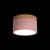 10162 Pink Накладной светильник LOFT IT Grape - Loft It