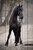 Лошадь на дороге 40х60 см, 40x60 см - Dom Korleone