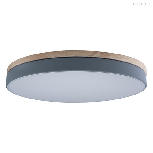10001/36 Grey Потолочный светильник LOFT IT Axel - Loft It