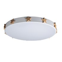 10006/36 White Потолочный светильник LOFT IT Axel - Loft It