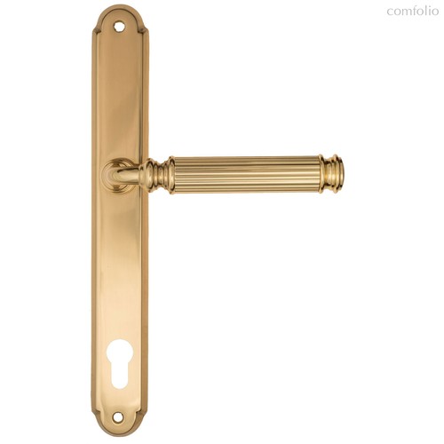 Дверная ручка на планке Fratelli Cattini ENCIA CYL PL01-OLV полированная латунь - Fratelli Cattini