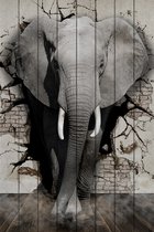 Дикий слон 100х150 см, 100x150 см - Dom Korleone
