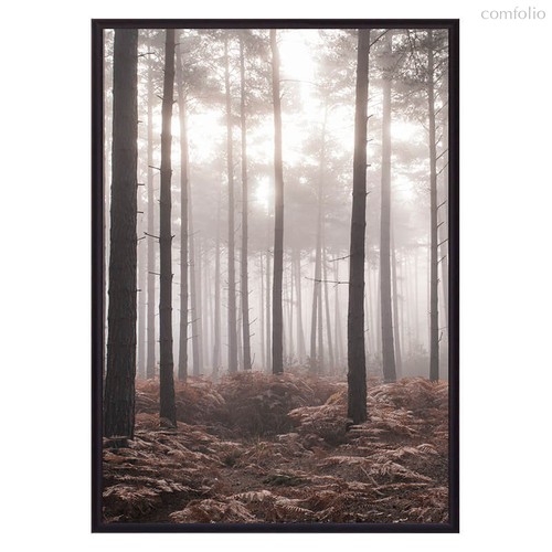 Туманный лес, 40x60 см - Dom Korleone
